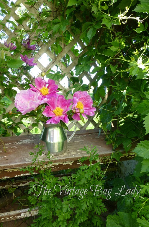 [flowers-0096.jpg]