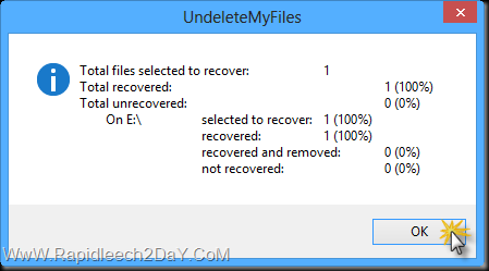 UndeleteMyFiles Pro - displays information about the process