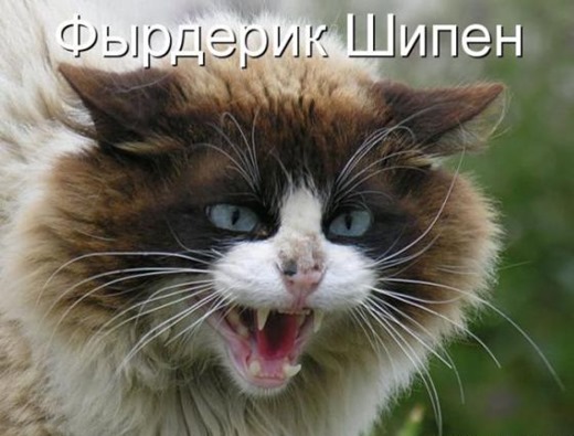 [d30adc4bb151b2c303f63f77fbd_prev%255B3%255D.jpg]