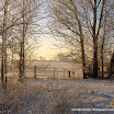 Stephen Renehan - Winter Gate.jpg