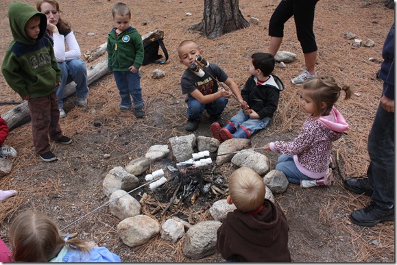 preschool mt lemmon SW pics Laun 051