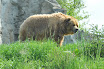 DSC_0039-1.JPG