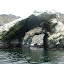tour-punta-choros-isla-damas