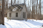 It's really beautiful back here in the woods.  The little woodland folly looks very nice.
