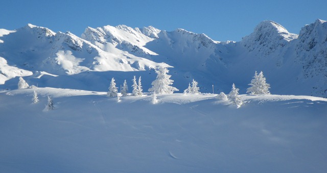 [Winter%2520Trees%255B4%255D.jpg]