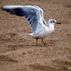 20100822_164_small.JPG
