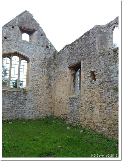 SAM_1634 Godstow Abbey SAM_1634 Godstow Abbey