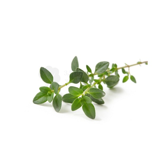 [6829_0%255B5%255D.jpg]