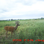 MDGC0535.JPG