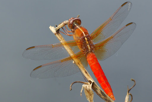20100704_61