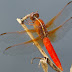 20100704_61