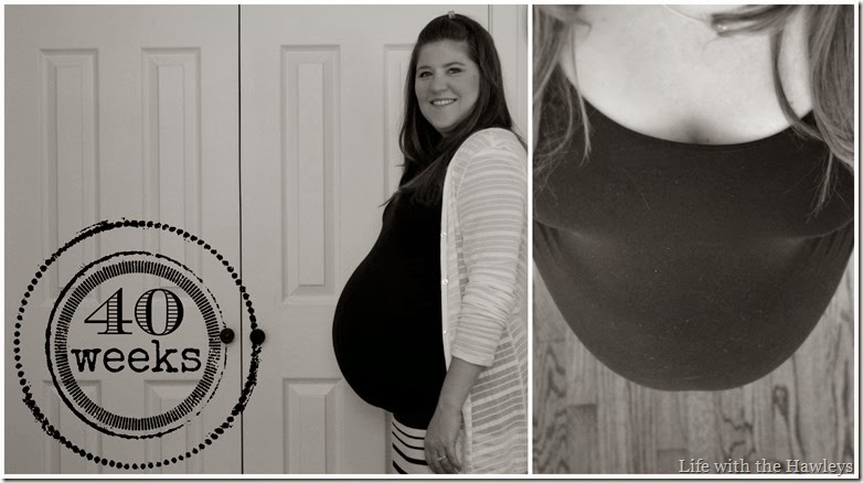 40 week collage 40 week collage