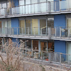 HavaDo_4495 (Large).JPG