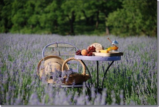 provence12-vinhoedelicias provence12-vinhoedelicias