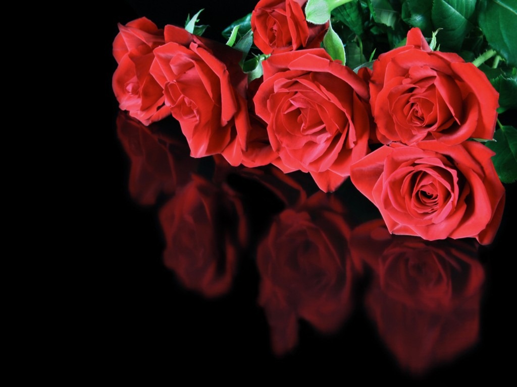 [Red_roses_reflected_on_a_black_surface%255B5%255D.jpg]