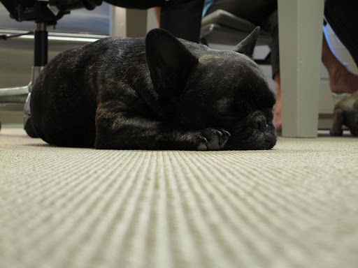 I decided to leave the important decisions to Martha and her producers - I needed to get a quick beauty nap so that I would look like a million dollars to all of my adoring fans.