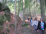 http://lh5.ggpht.com/-xM9meyEEt3M/TqLBlZnBt4I/AAAAAAAACQY/m7-Oi4Rqh6k/Saarland%252520%252528489%252529.JPG