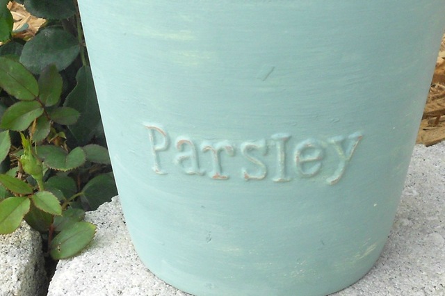 [DSCN1380-3%255B3%255D.jpg]