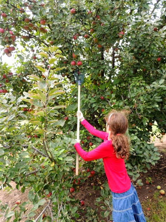 [DSCN0308%255B3%255D.jpg]