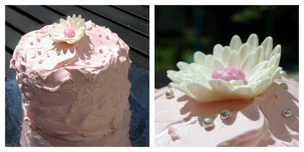 [smashcakejillian4.jpg]