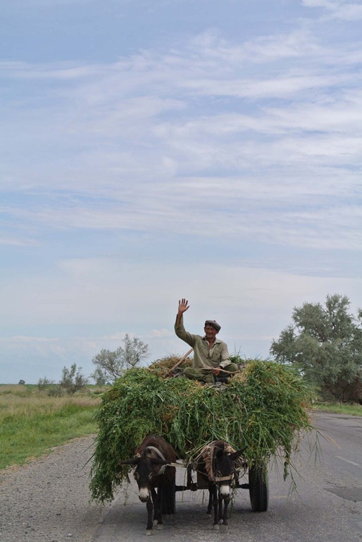 [DSC_5073%255B4%255D.jpg]