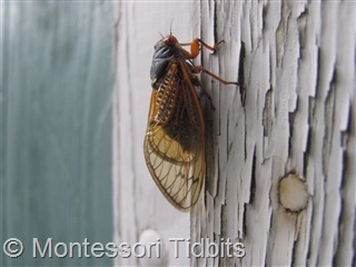[img_61331%255B10%255D.jpg]