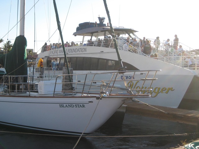 [IMG_2656%255B3%255D.jpg]