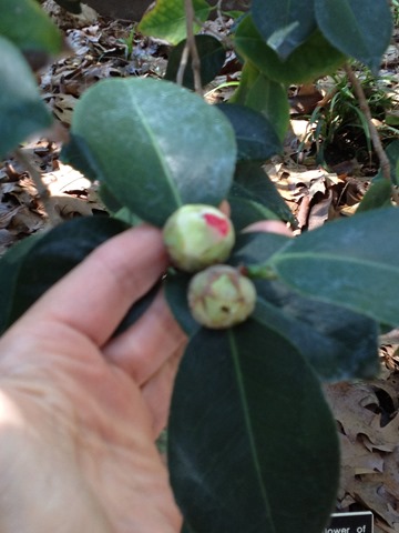 [030%255B3%255D.jpg]