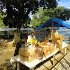 DSC07410.JPG