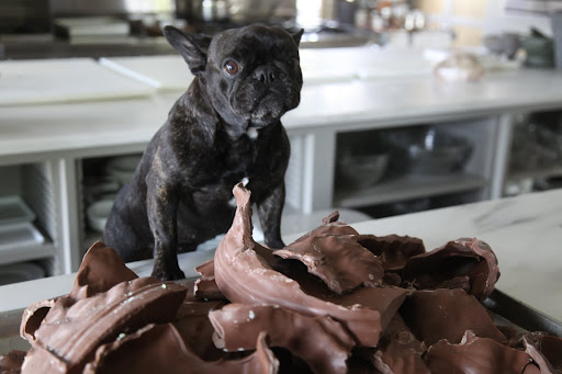 And that is that chocolate contains both theobromine and caffeine - both of which are toxic to dogs.  So, there's not too much that we can enjoy about this chocolate.  Strange job, if you ask me!