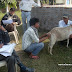 Community Livestock Assistant Training.jpg