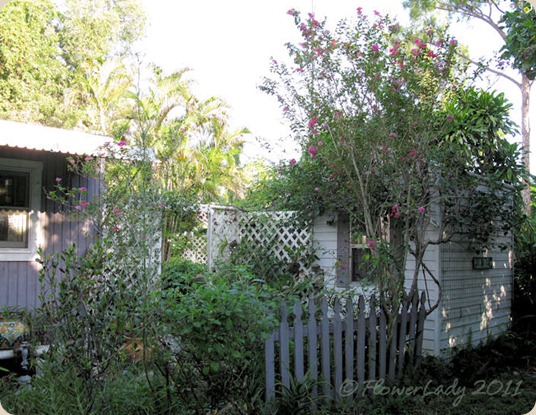 08-29-shed-garden