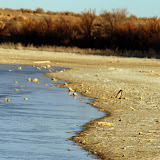 Holloman Lakes Holloman Lakes