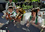 Erntedank 2010