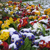 April2008 035.JPG