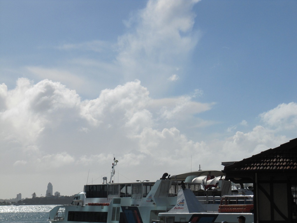 [IMG_55604.jpg]