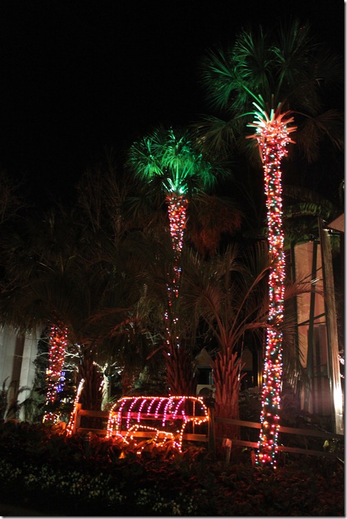 12-24-2011_999_149