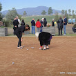 DSC00628.JPG