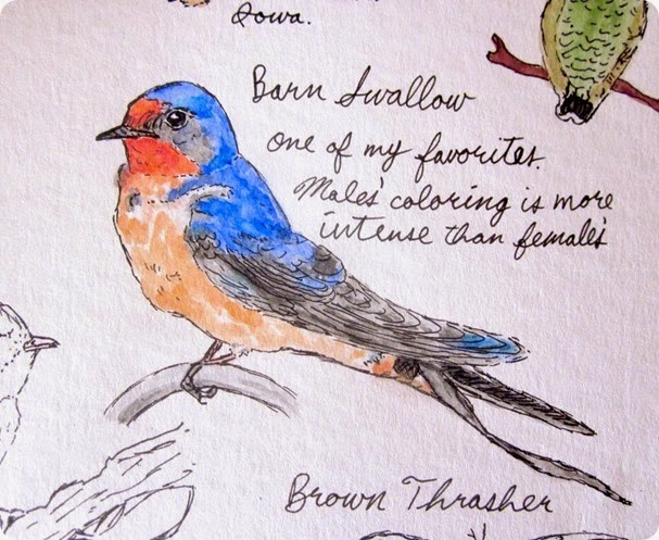 dad, bird paintings, genoise 021