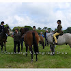 Light Horse 021.jpg