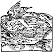 From Original Rosarium Philosophorum Manuscript 11