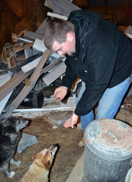 [feeding%2520dogs%255B7%255D.jpg]