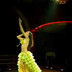 Document Name_3_244.JPG