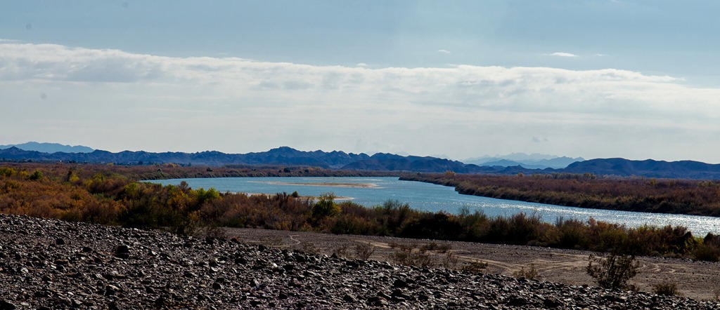 [Imperial%2520NWR%2520with%2520Judy%2520%252850%2520of%252054%2529%255B3%255D.jpg]