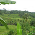 l036.jpg