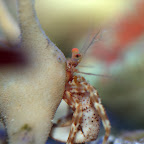 DSC_2202.jpg