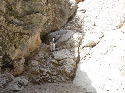 DSCN3928.jpg