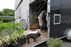 Francesca, I'm always worried when we're not there to oversee the moving of plants to Skylands.  Luckily, Uncle Carlos is going to travel with GK, so let's brief him on protocol so he can make sure everything gets unloaded properly!