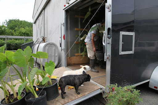 Francesca, I'm always worried when we're not there to oversee the moving of plants to Skylands.  Luckily, Uncle Carlos is going to travel with GK, so let's brief him on protocol so he can make sure everything gets unloaded properly!