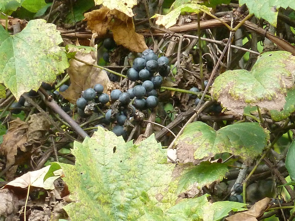 [P1150806%255B8%255D.jpg]
